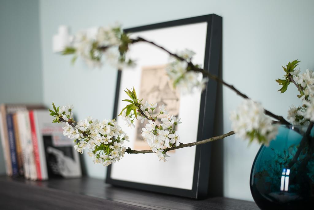 Apartament Paulove Kraków Zewnętrze zdjęcie