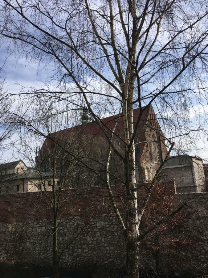 Apartament Paulove Kraków Zewnętrze zdjęcie