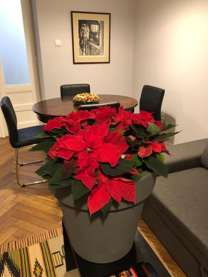 Apartament Paulove Kraków Zewnętrze zdjęcie